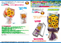 サマーコレクション