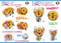 サマーコレクション